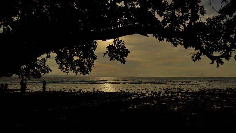 Enchanting Andaman - In Search of Vitamin Sea 9 laxmanpur2-beach-neil