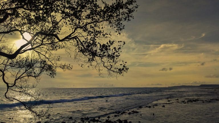 Enchanting Andaman - In Search of Vitamin Sea 10 Laxmanpur2-Beach-Neil