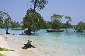 Enchanting Andaman - In Search of Vitamin Sea 24 Read more about the article Enchanting Andaman – In Search of Vitamin Sea