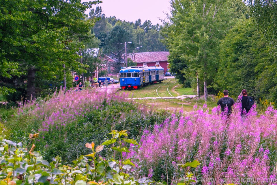 10 Things to do in Porvoo, Finland - A Memorable Day Trip from Helsinki 20 Tourist train in Porvoo