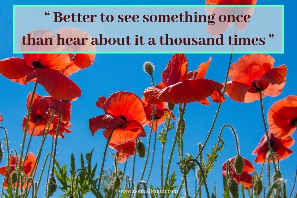 100 Best Travel Quotes with Photos 70 Best travel quote