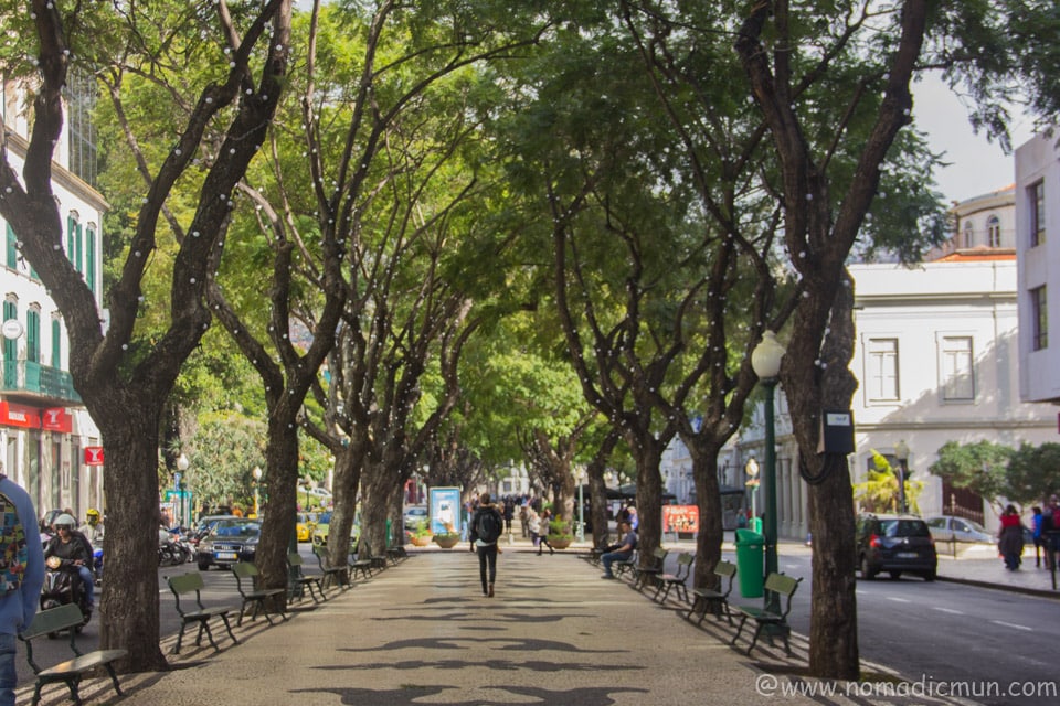 Funchal Travel Guide - 15 Best Attractions in Funchal 6 Avenida Arriaga in Funchal