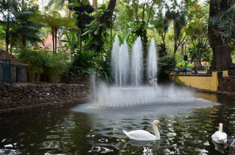 Funchal Travel Guide - 15 Best Attractions in Funchal 23 Jardim municipal do Funchal municipal garden