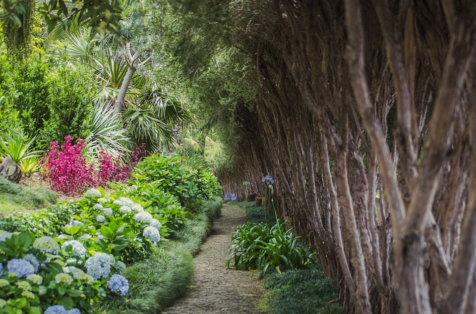 Funchal Travel Guide - 15 Best Attractions in Funchal 11 Monte Palace Tropical Garden_Funchal_MAdeira_Portugal