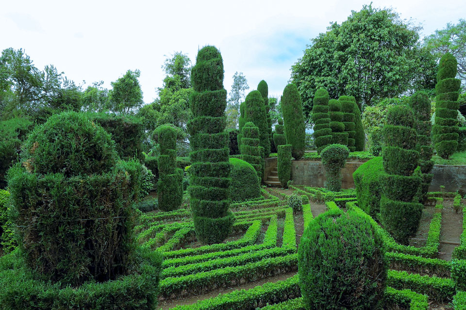 Palheiro Garden in Funchal Madeira
