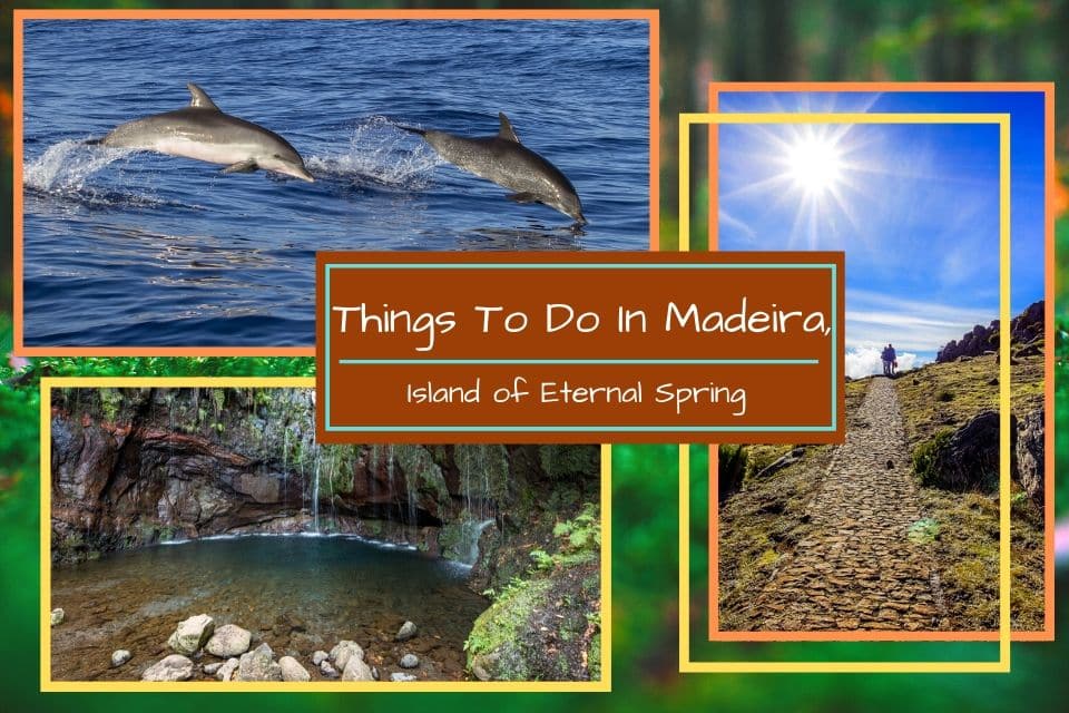 Best 15 Things to Do in Madeira, Portugal 1 Read more about the article Best 15 Things to Do in Madeira, Portugal