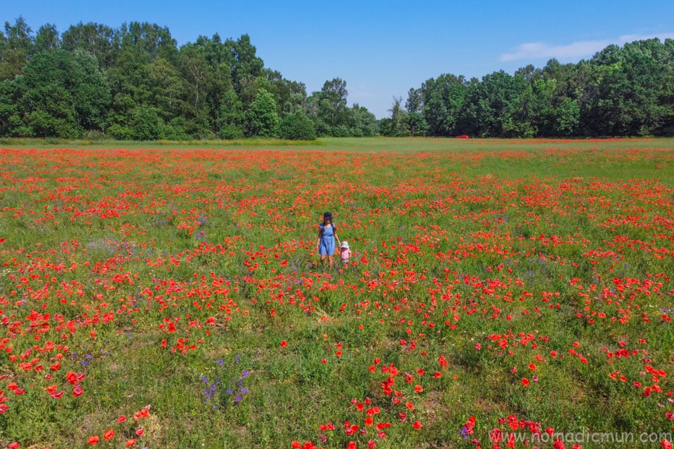Ultimate Saaremaa Travel Guide 2 Saaremaa Estonia