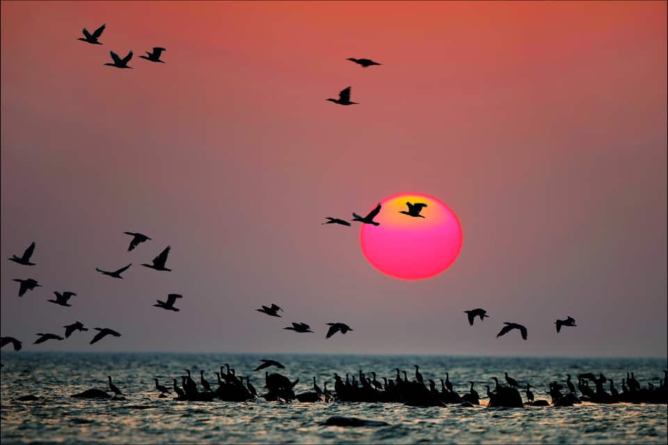 Ultimate Saaremaa Travel Guide 40 sunset at Ruhnu
