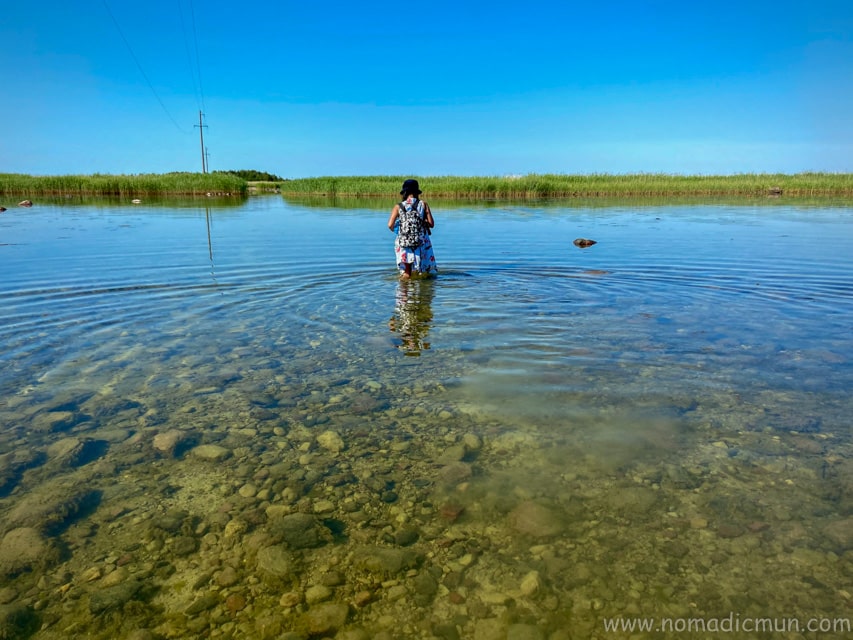 Ultimate Saaremaa Travel Guide 18 vilsandi saaremaa estonia