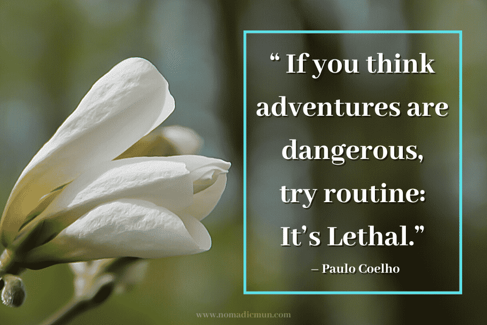 40 Interesting Travel Quotes From Famous Personalities 4 Best travel quote