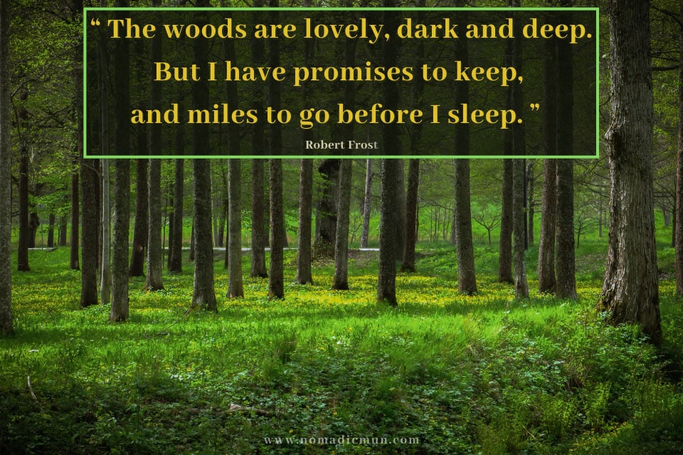 40 Interesting Travel Quotes From Famous Personalities 12 Best travel quote by famous personality: miles to go before I sleep