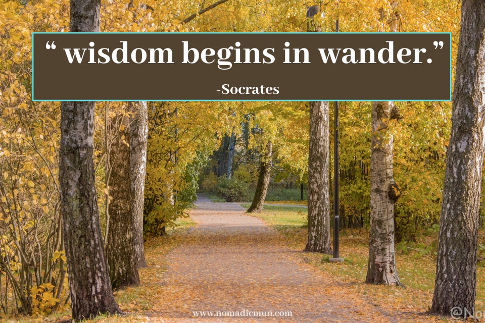 40 Interesting Travel Quotes From Famous Personalities 23 Best travel quote by famous personality-wisdom begins in wander Socrates