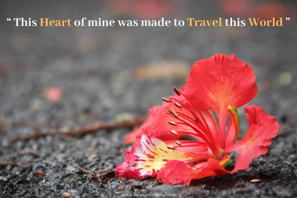 100 Best Travel Quotes with Photos 9 This Heart Of Mine Was Made To Travel This World
